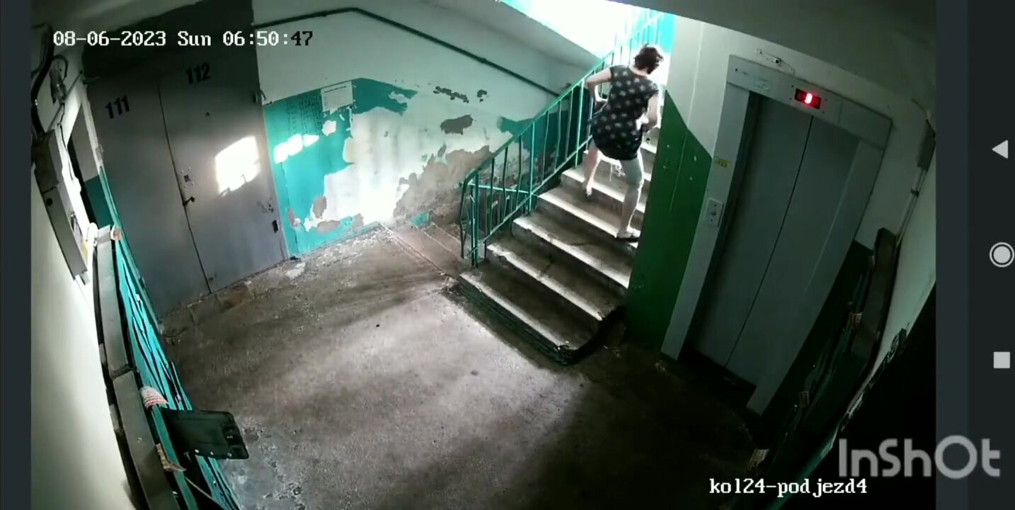 Cctv catches woman urinating in rare walking stairs pis