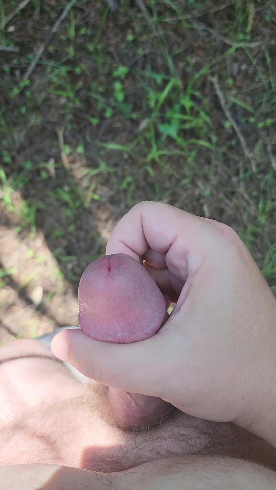 Nutting on the cruising trail