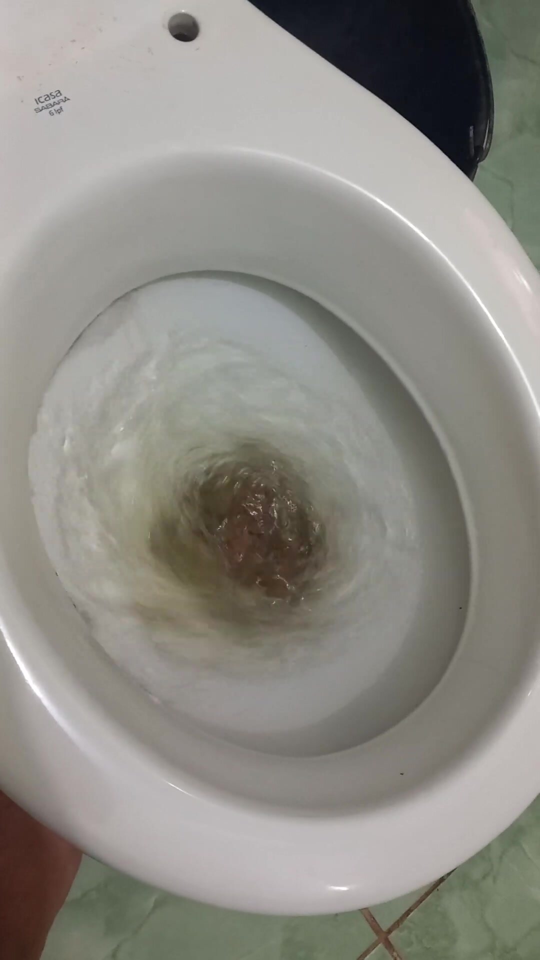 Woman tries to flush toilet, but feces won't go down