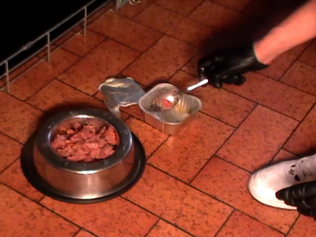 skyppy mange