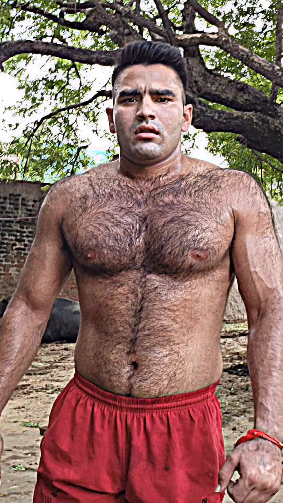 Indian bears ar always welcome 