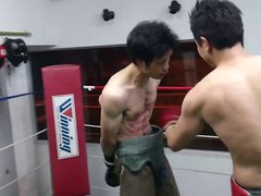 Boxing Gut Punch Sparring
