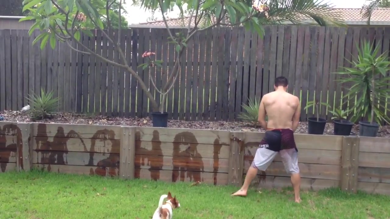 Bro Takes a Long Piss on Fence (No nudity)