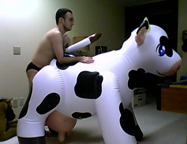 Inflatable naughty cow