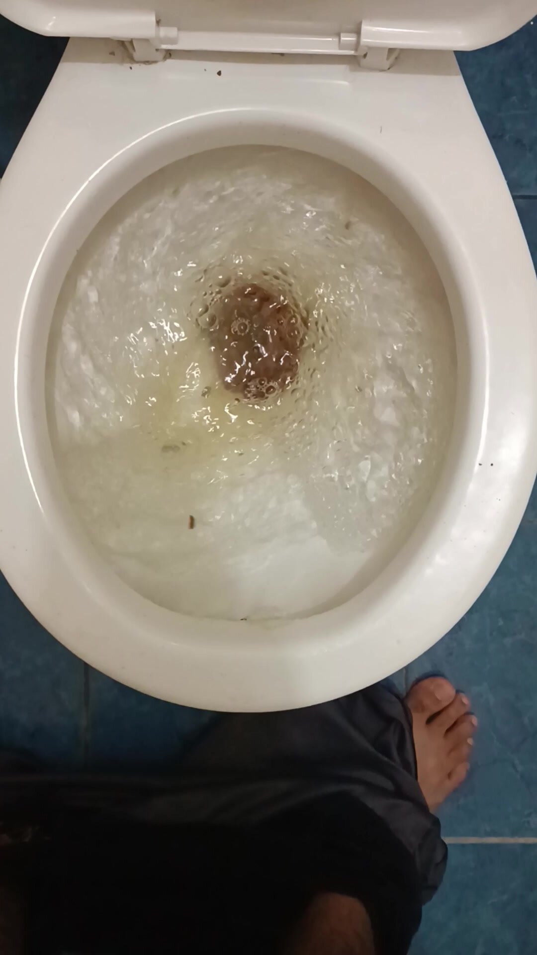 My poop flush 3
