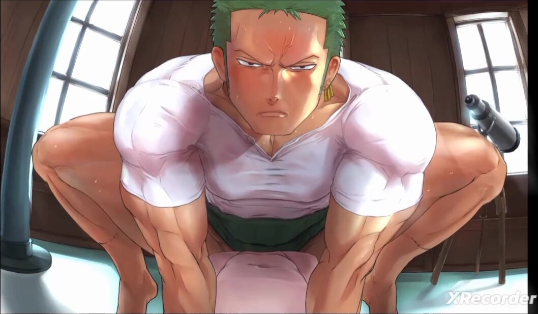 Zoro and the Fake Pussy