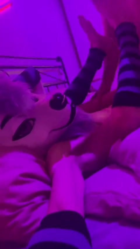 Fursuit Sex 1