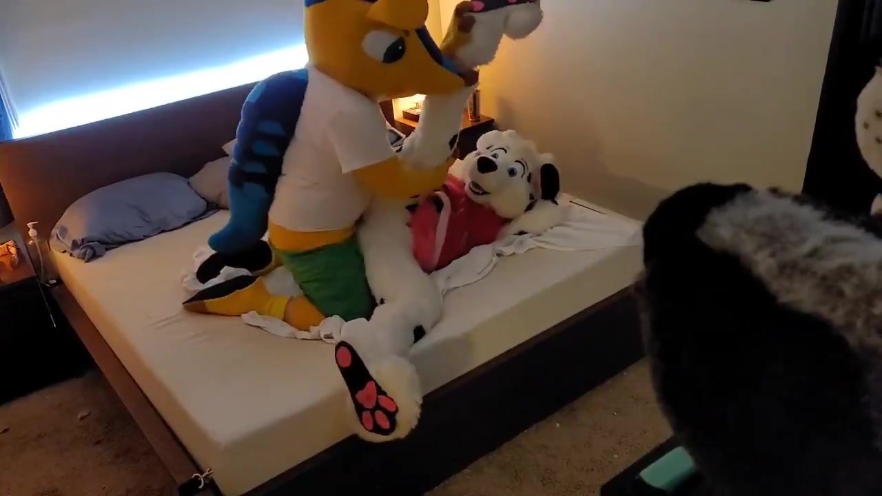 Fursuit Sex 8