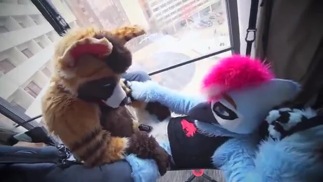 Furries Fucking in Public: Fursuit Sex 19 - ThisVid.com