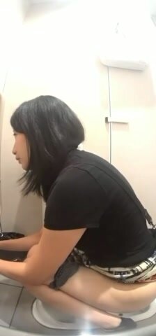japanese toilet - video 25