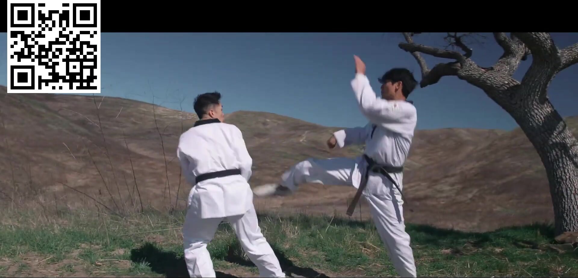 taekwondo - video 3