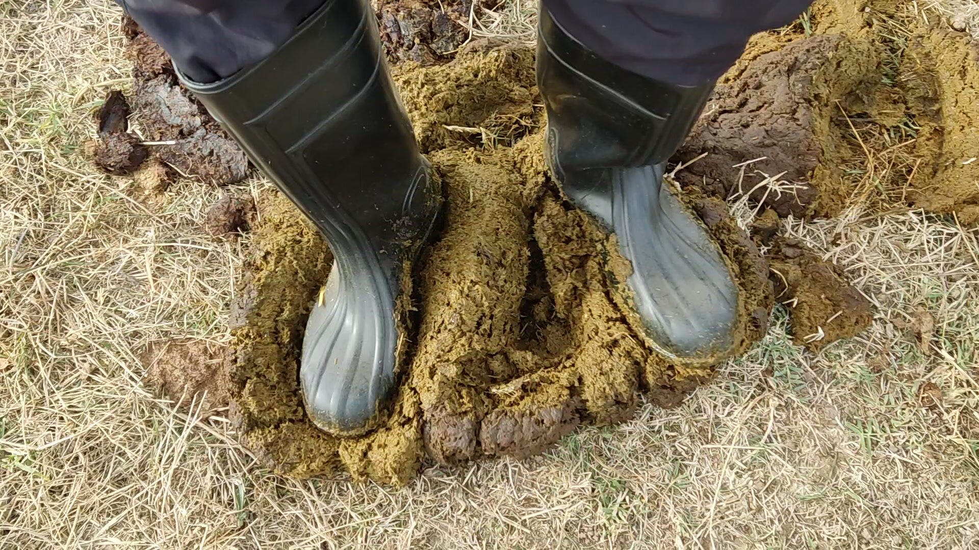 Rubber boots vs cowshit - video 54