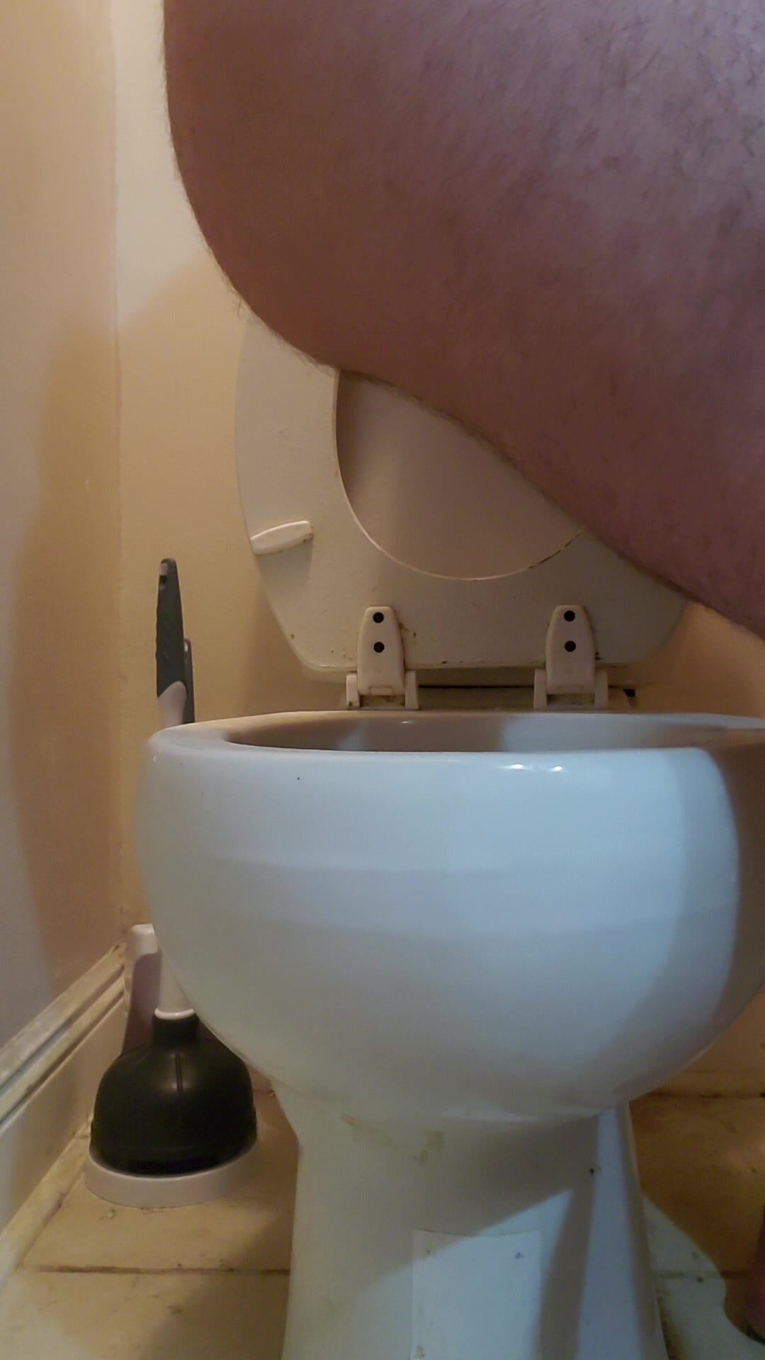 Toilet side view shit
