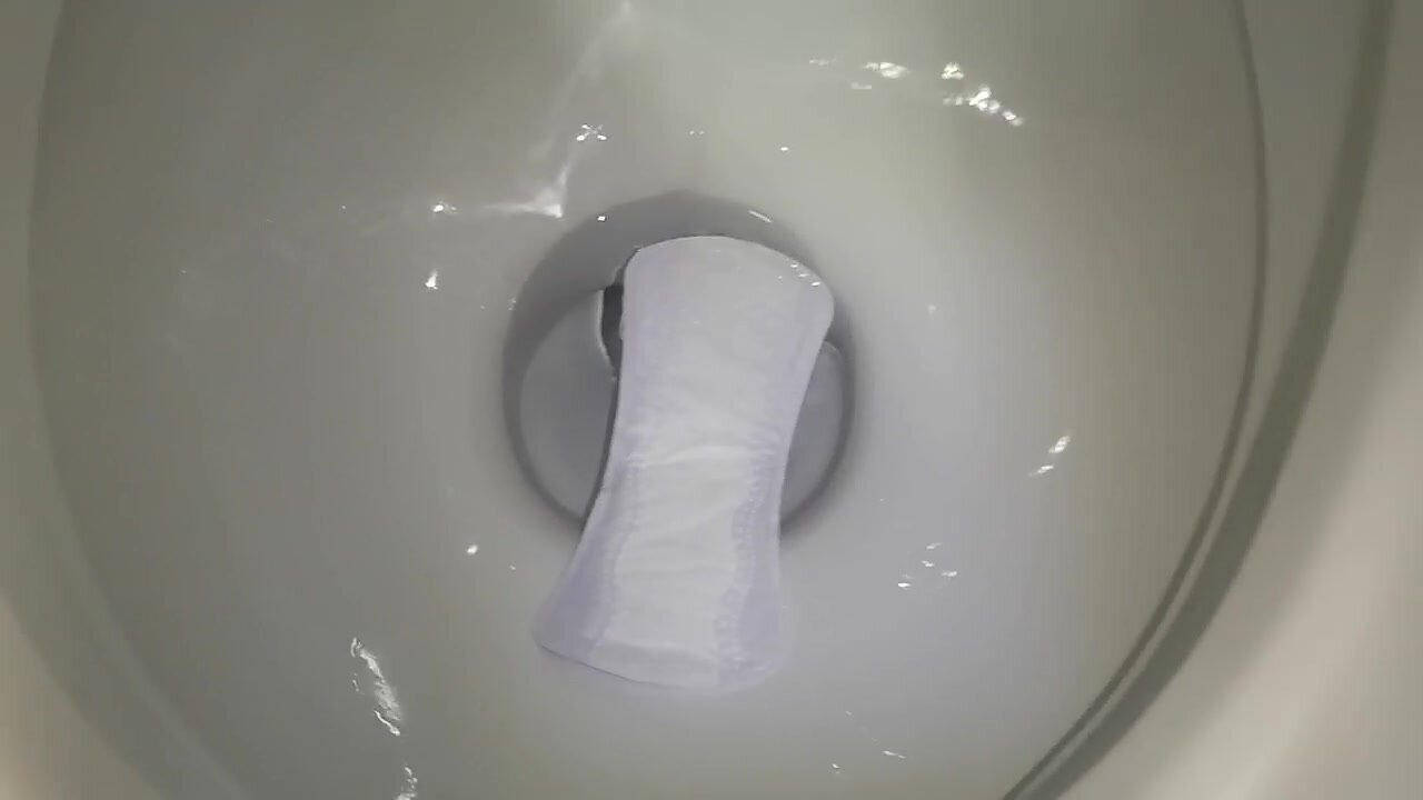 pantyliner flush