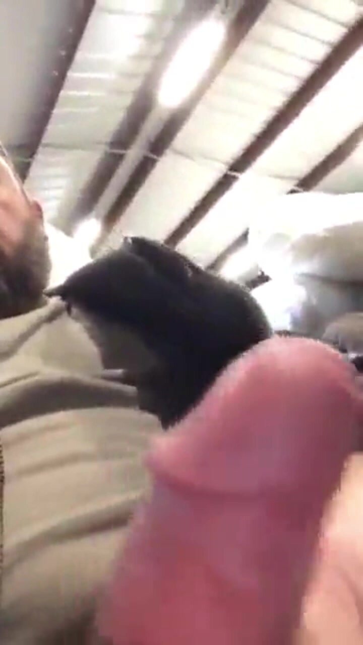 Cumming at work - video 4