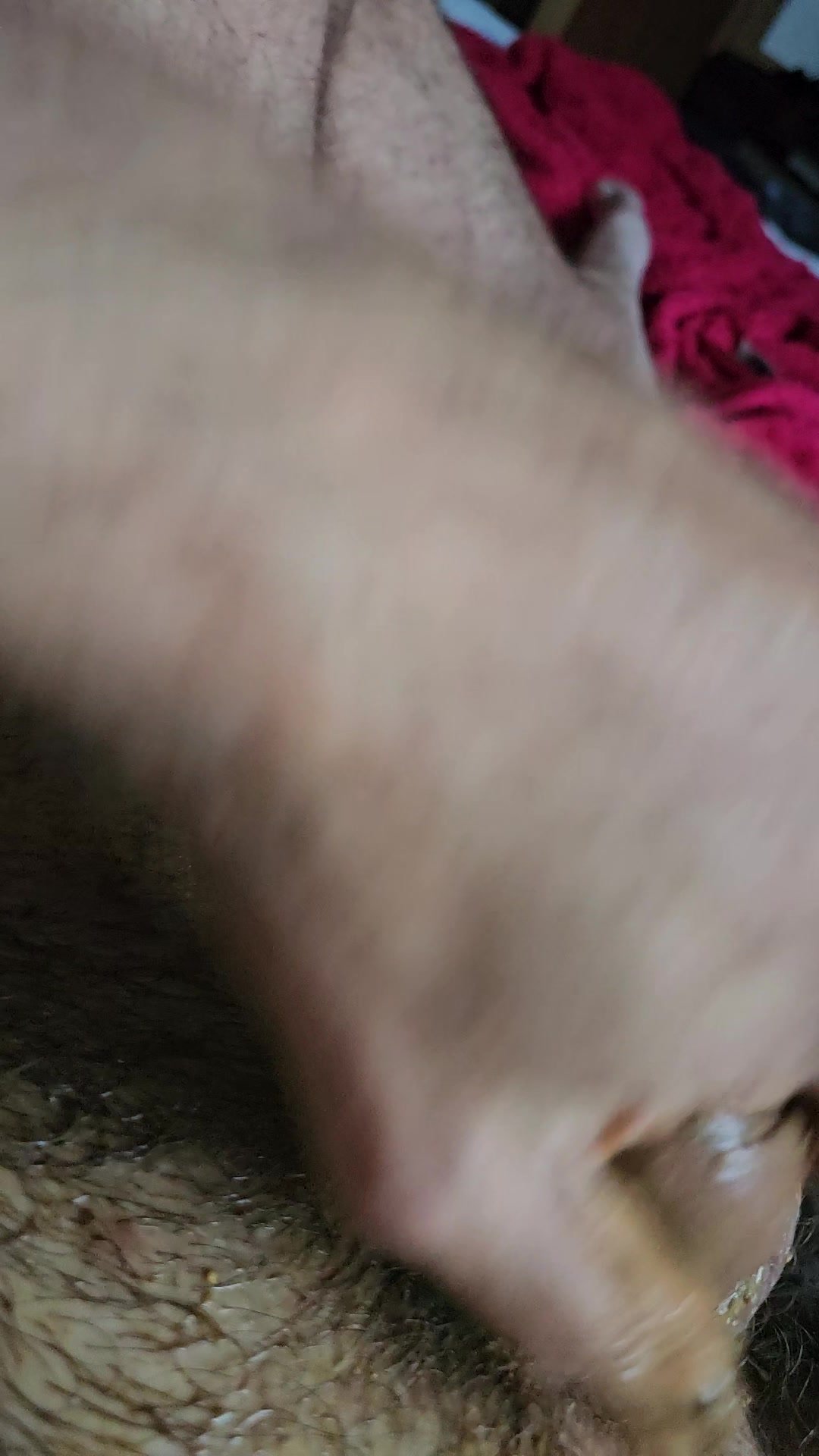 Pig and shit