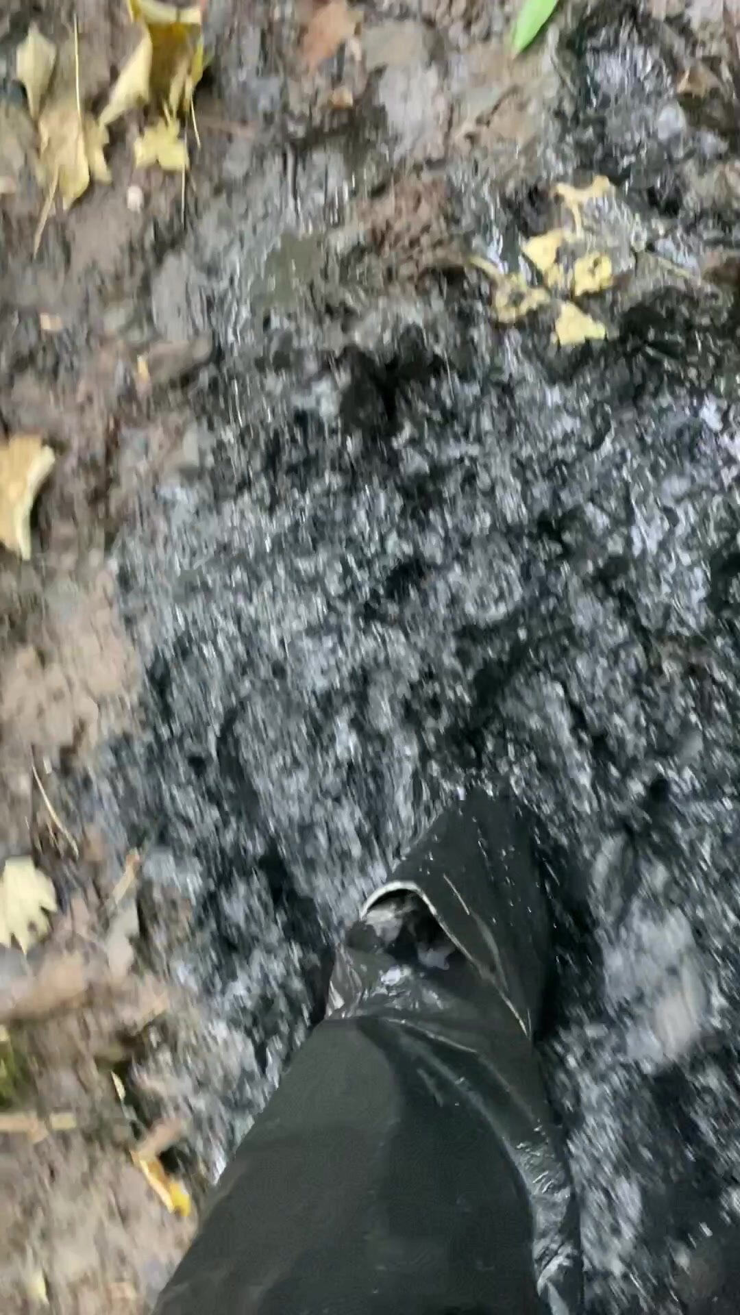 Dunlop’s in deep mud