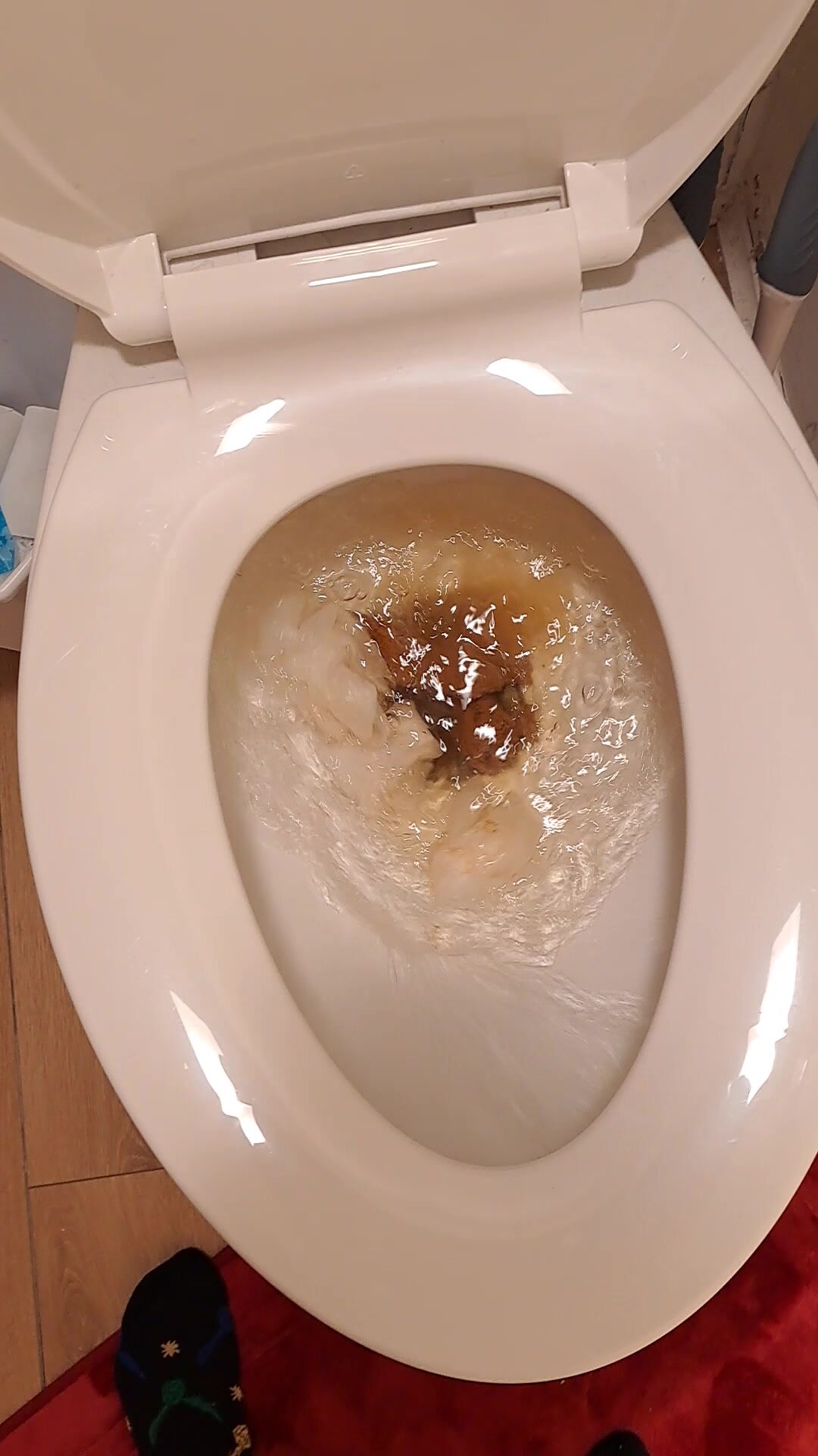 Up close inside toilet poo flush