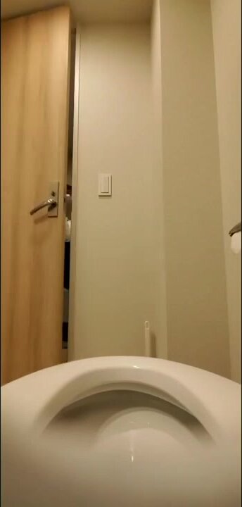 japanese toilet - video 23