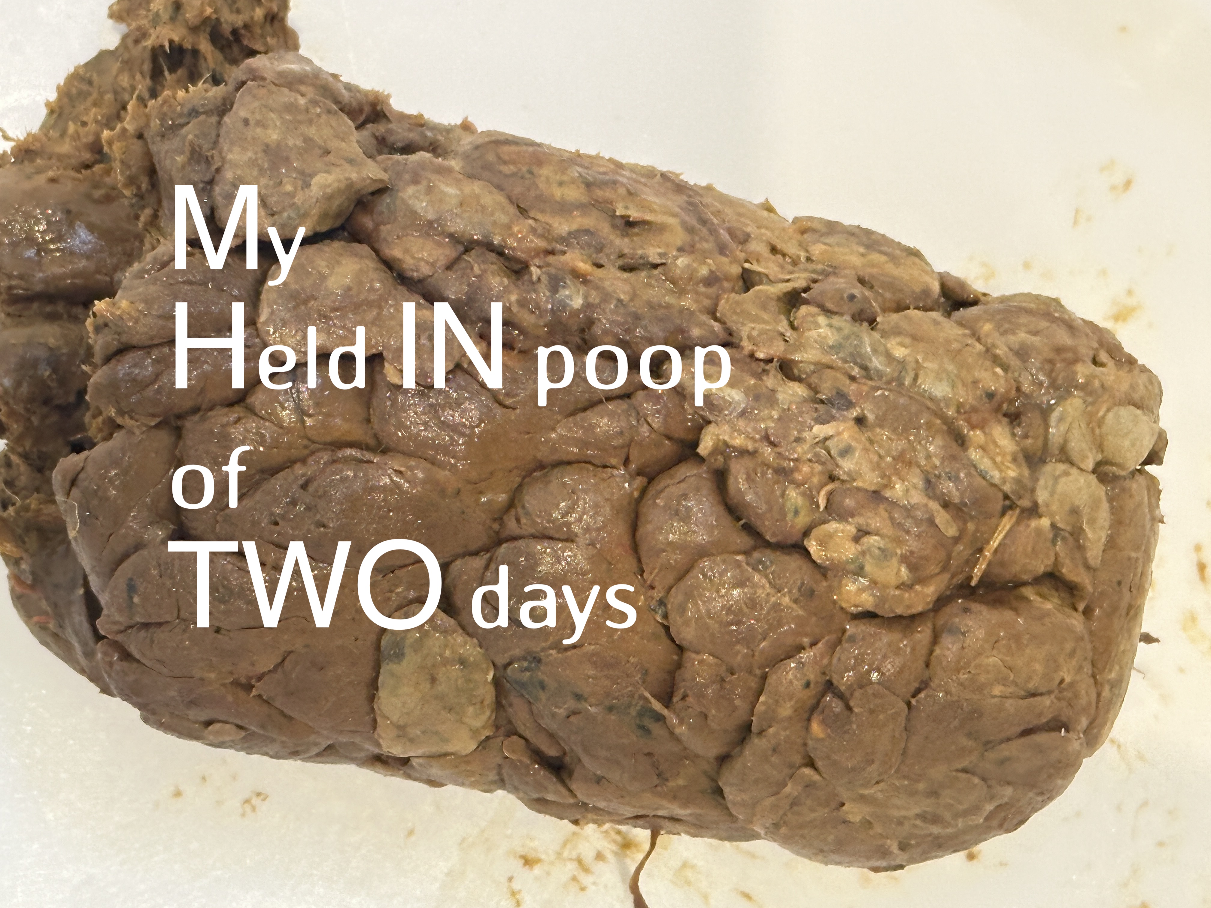 My held in poop of two days