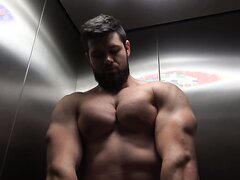 Dominated in the elevator by a true alpha