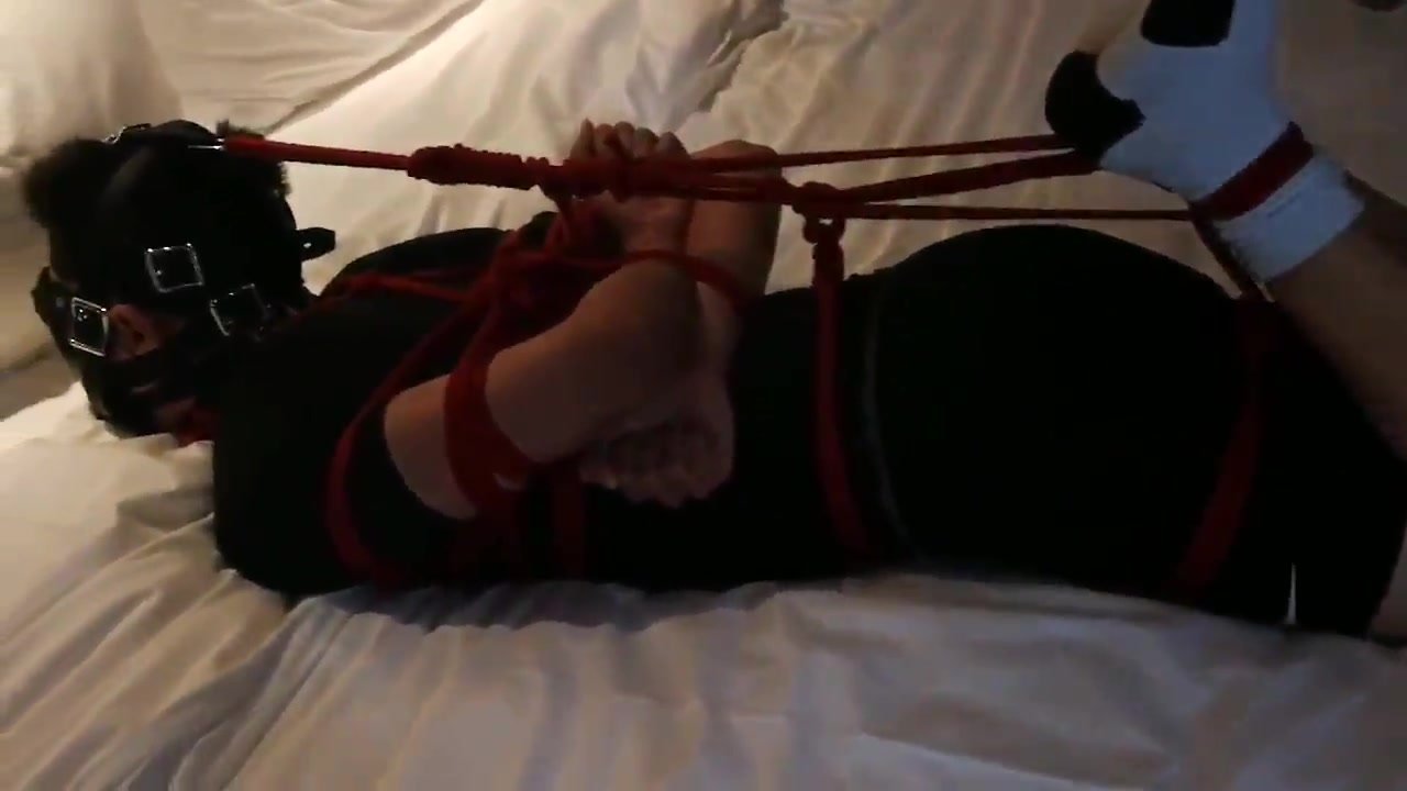 Tightly Hogtied and Muzzled
