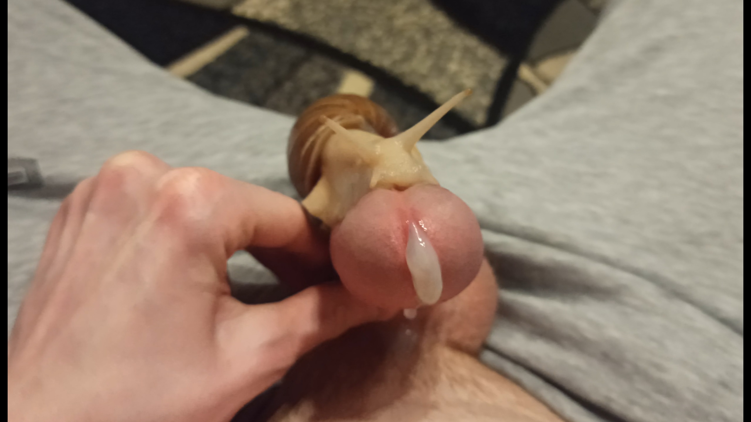 Giant snail on cock results in a pleasurable cumshot