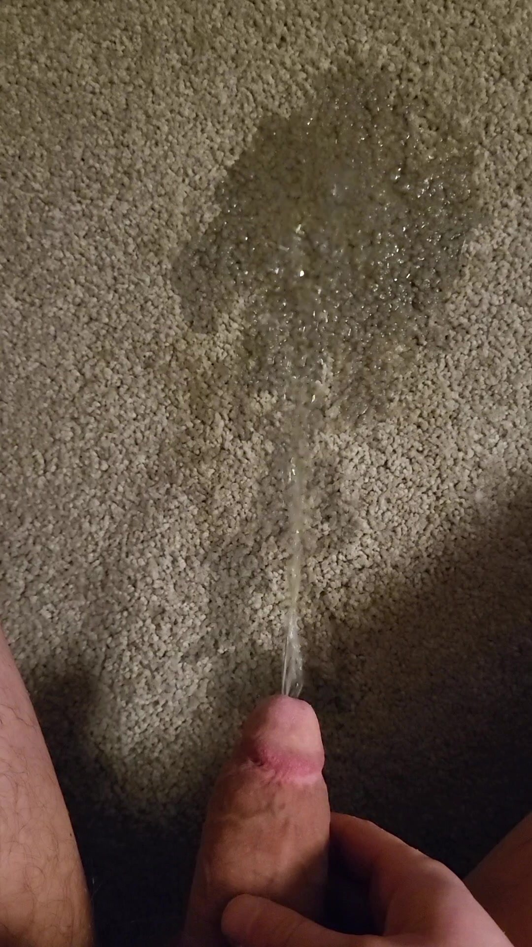 Using my carpet as a urinal