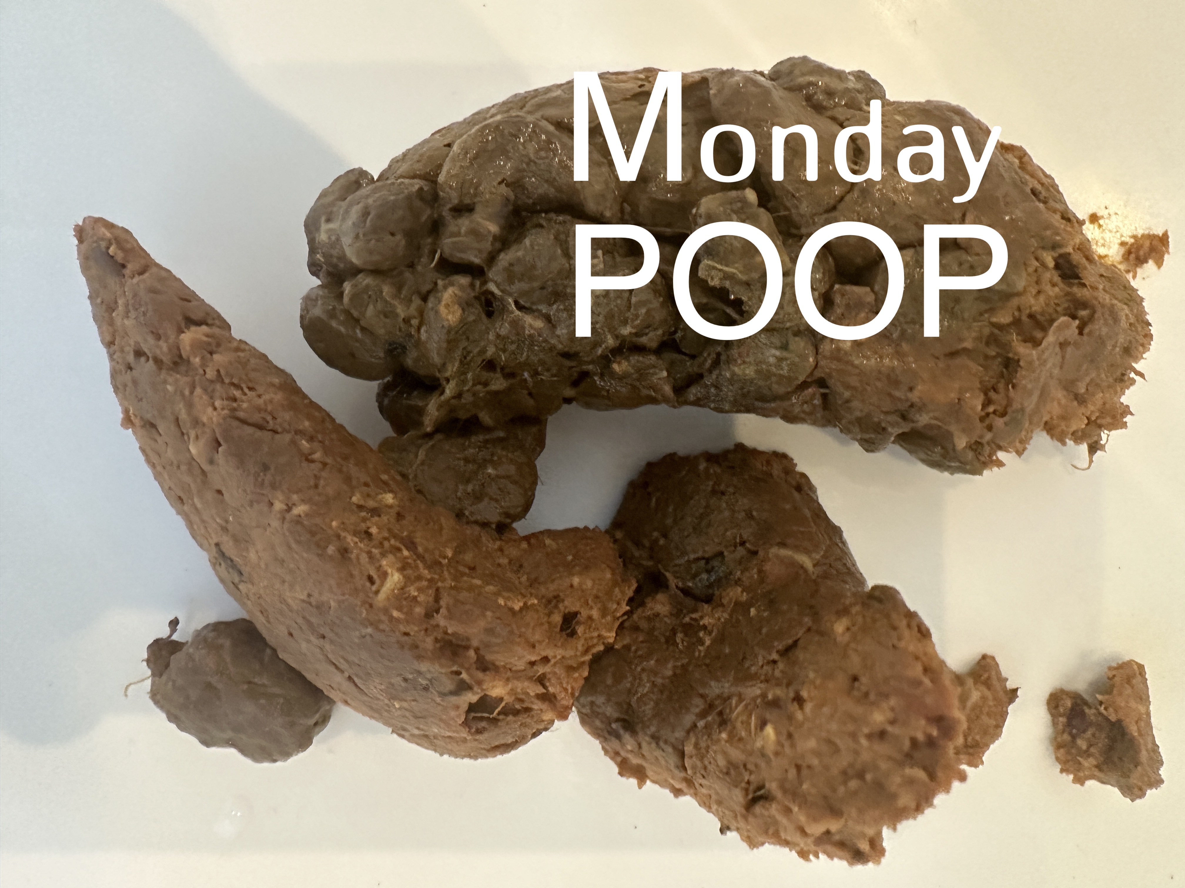 My Monday Poop