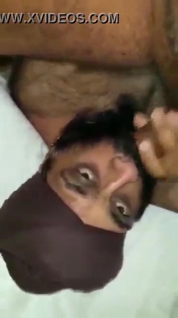 sikh bear sucks cock