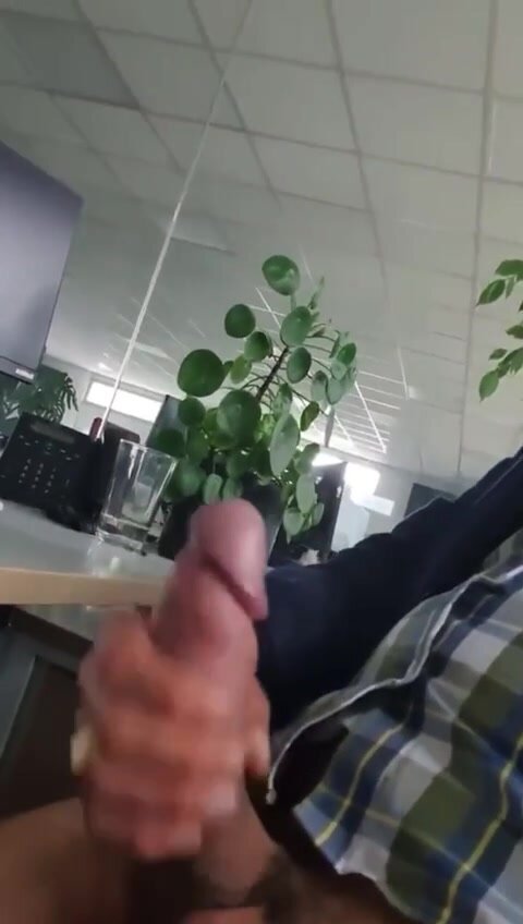 Bearded dad jerking off in the office