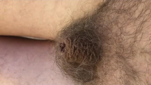 Piss from a tiny cock