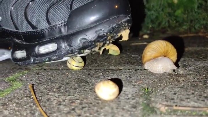 CRUSH - a man steps on a snail with his nike sneakers
