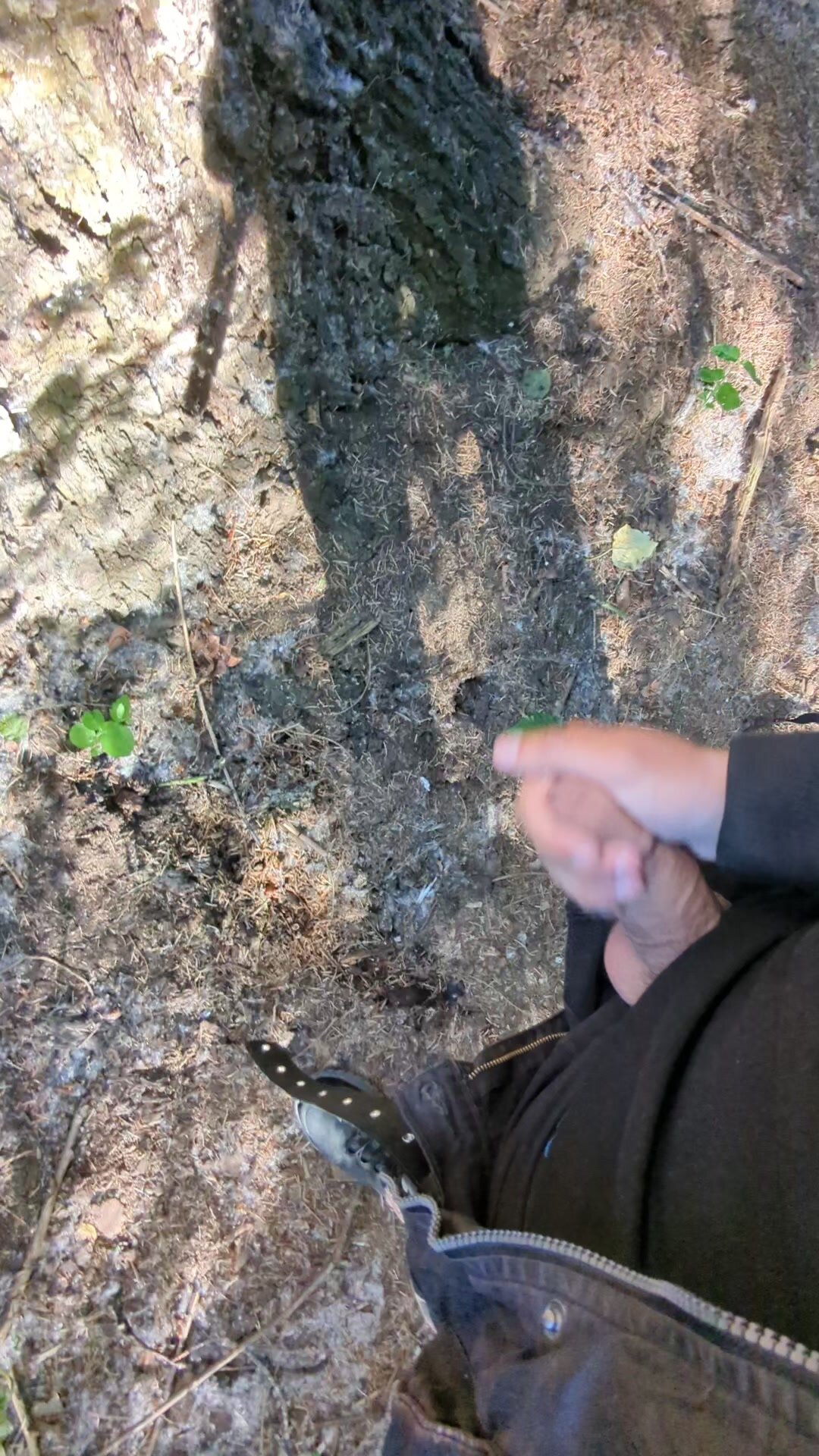 Quick vid me jerking in The Woods this summer