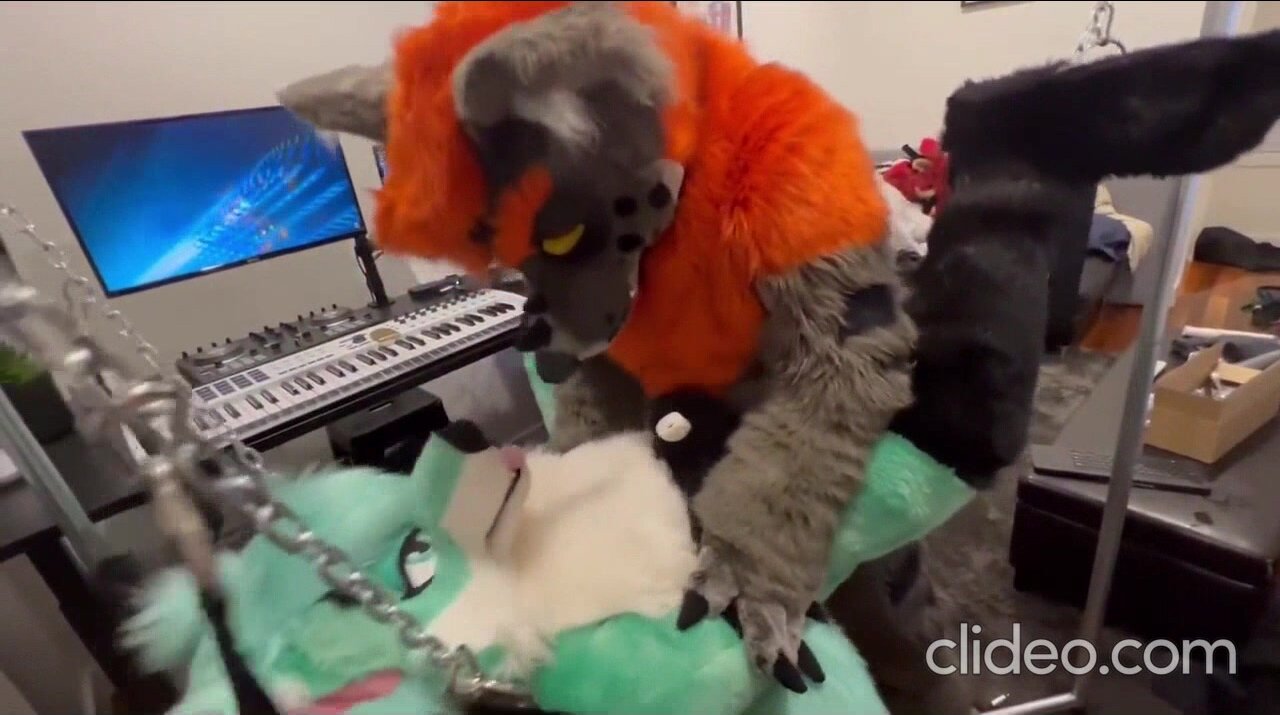 Female fursuiter gets fucked by bf in fursuit