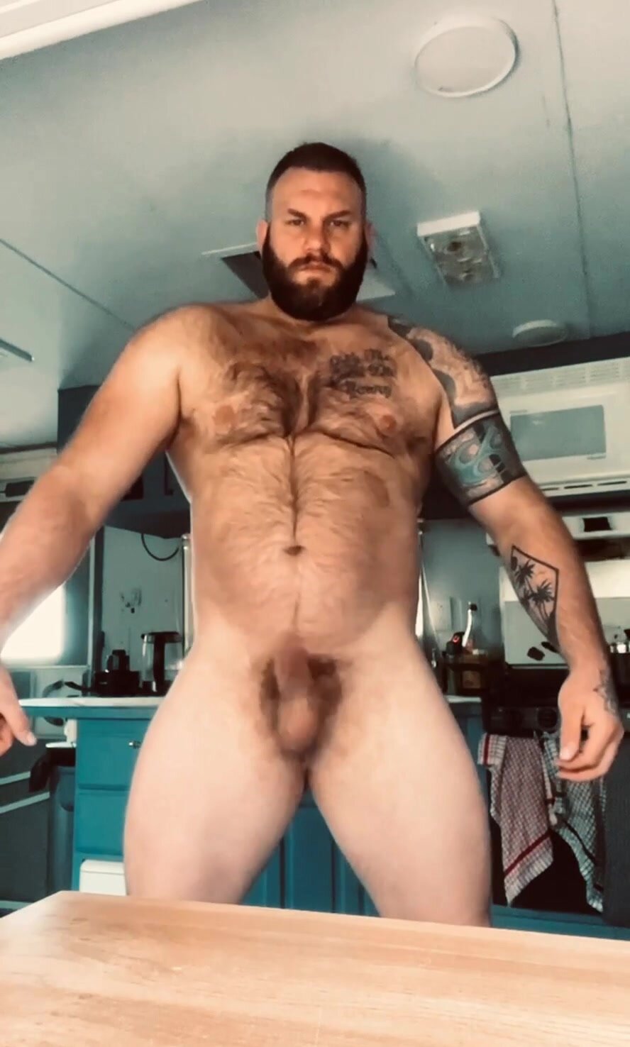 daddy bear dancing and jerking