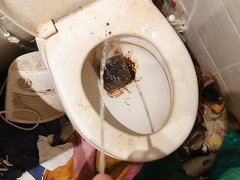Pisstrash my filthy toilet