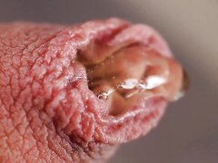 closeup of uncut cock pissing