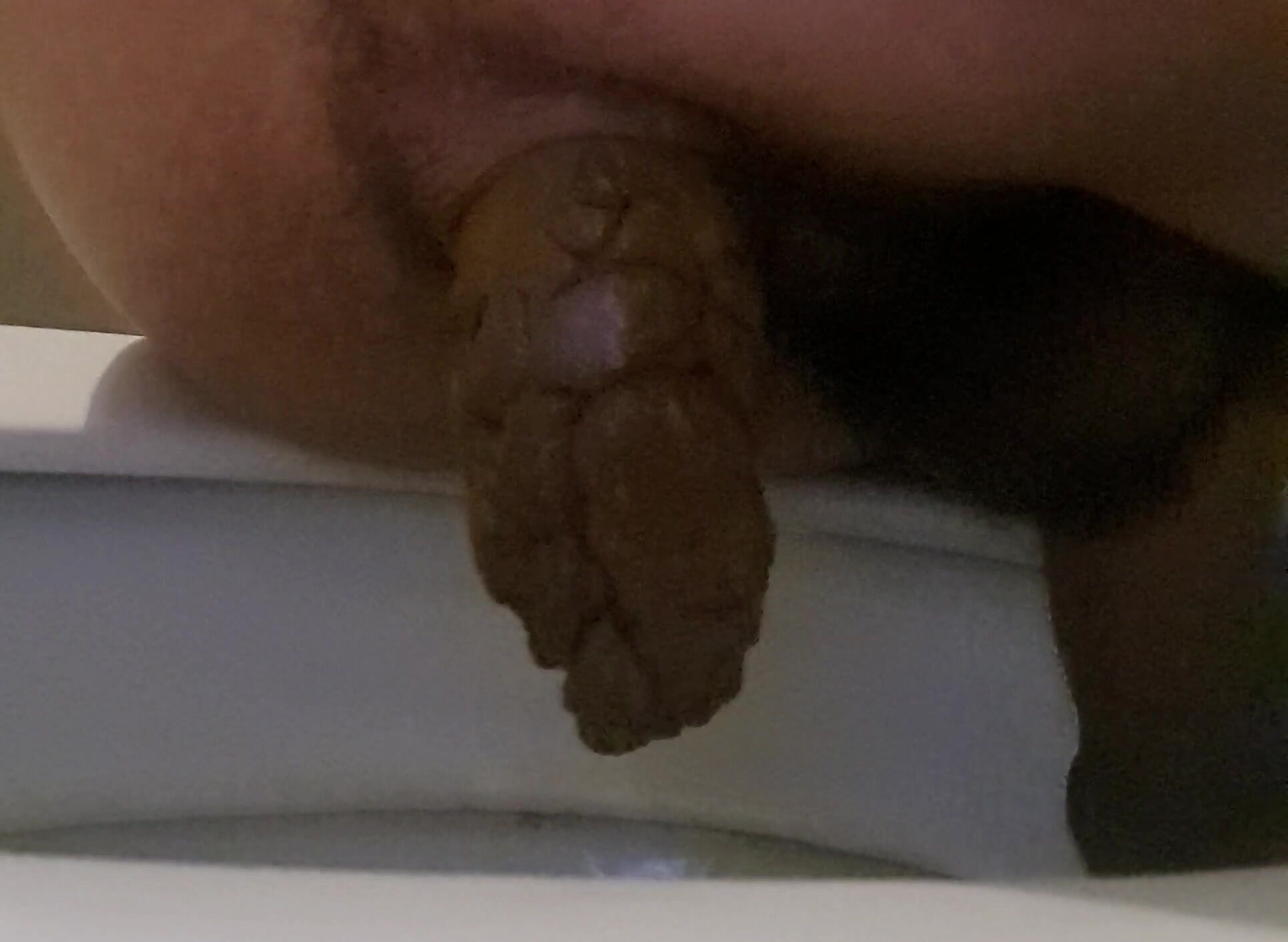 My very hard poop