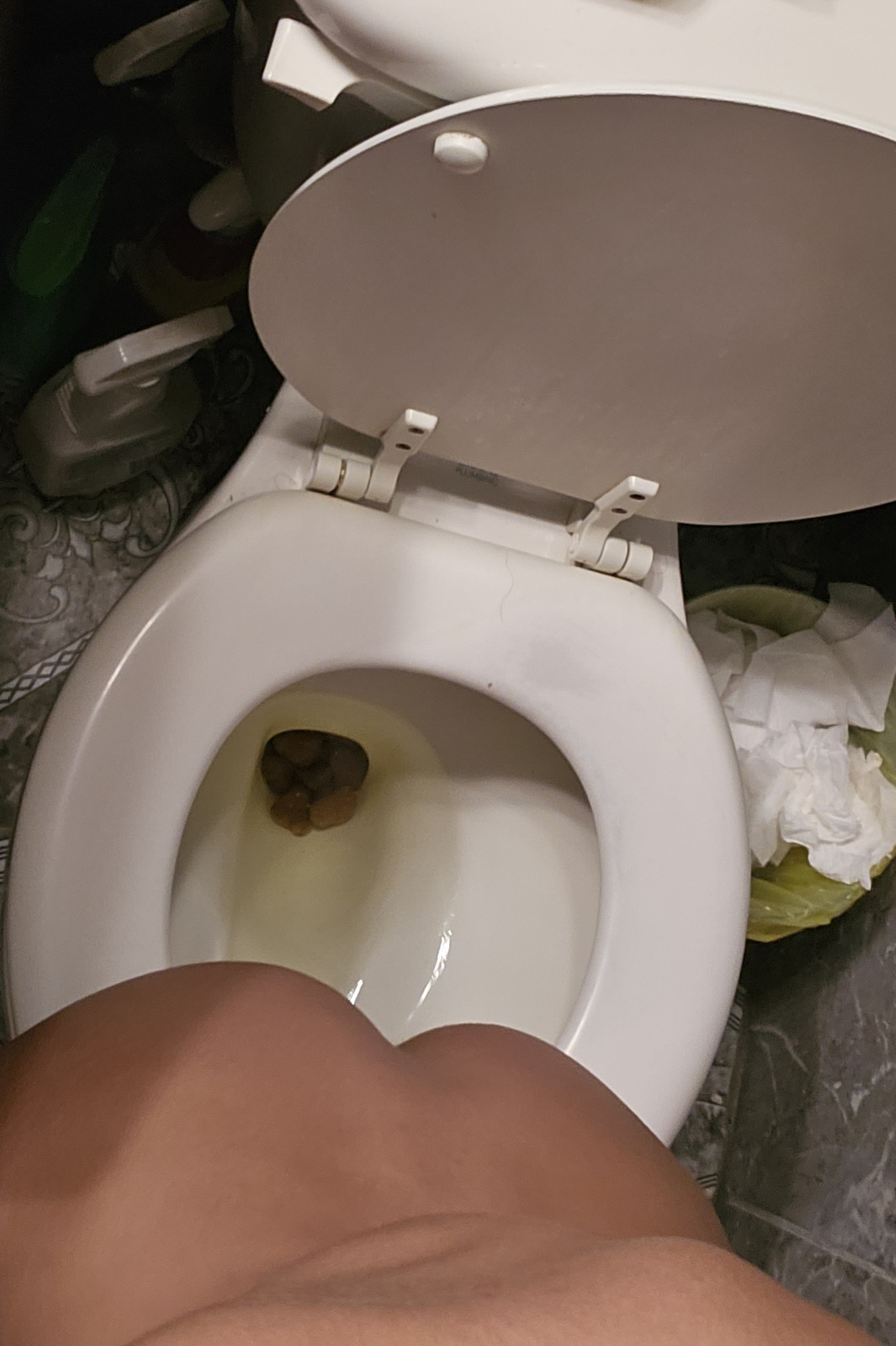 Girl pooping and peeing on toilet