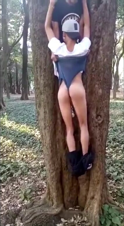 Mexican Boy Tree ... Wedgie