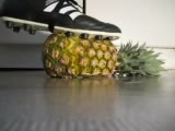GUY STOMPING PINEAPPLE WITH HIS SOCCER SHOES