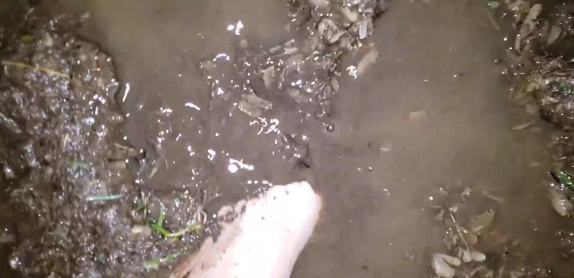 Dirty Farm Girl - Barefoot in the Chicken Mud 1